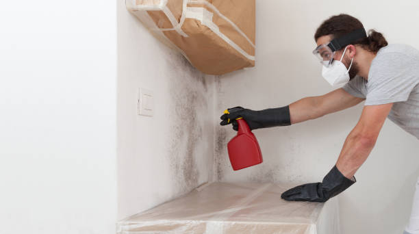 Professional Mold Testing technician working in Bear Lake, MI