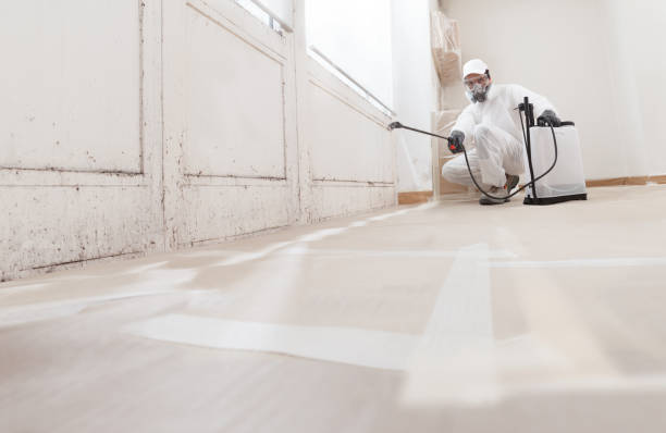 24/7 Emergency Mold Testing experts in Bear Lake, MI