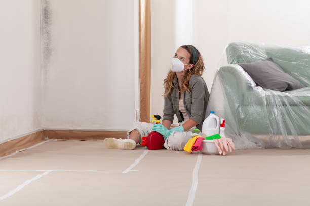 Reliable Mold Testing contractor in Bear Lake, MI by WQB Mold Removal